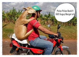 Dari Jongos ke&nbsp;Bos